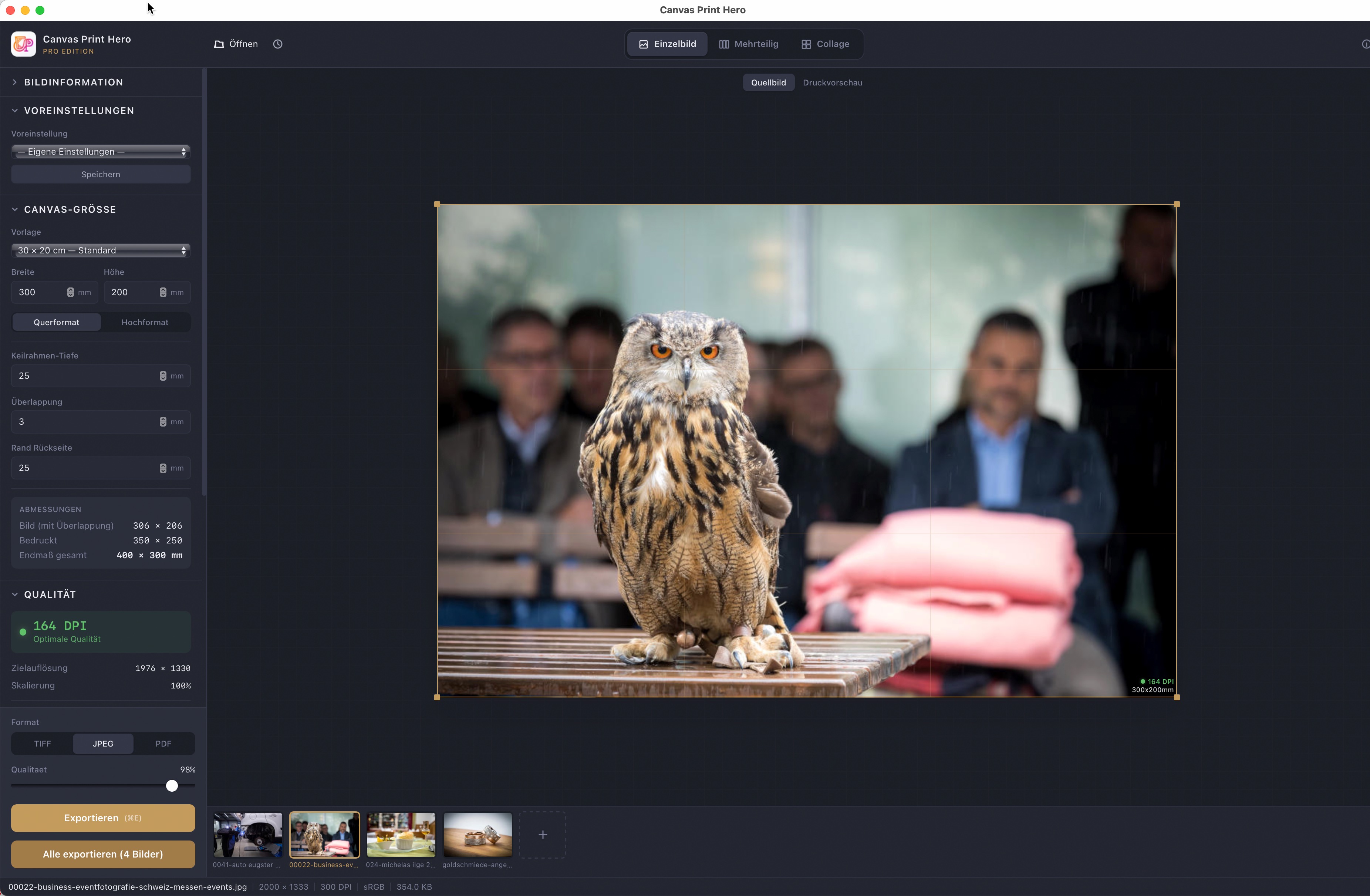 Leinwanddruck-Software: DPI-Qualitätsprüfung für Keilrahmenbilder